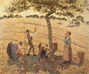 Camille Pissarro Pick Apple oil painting